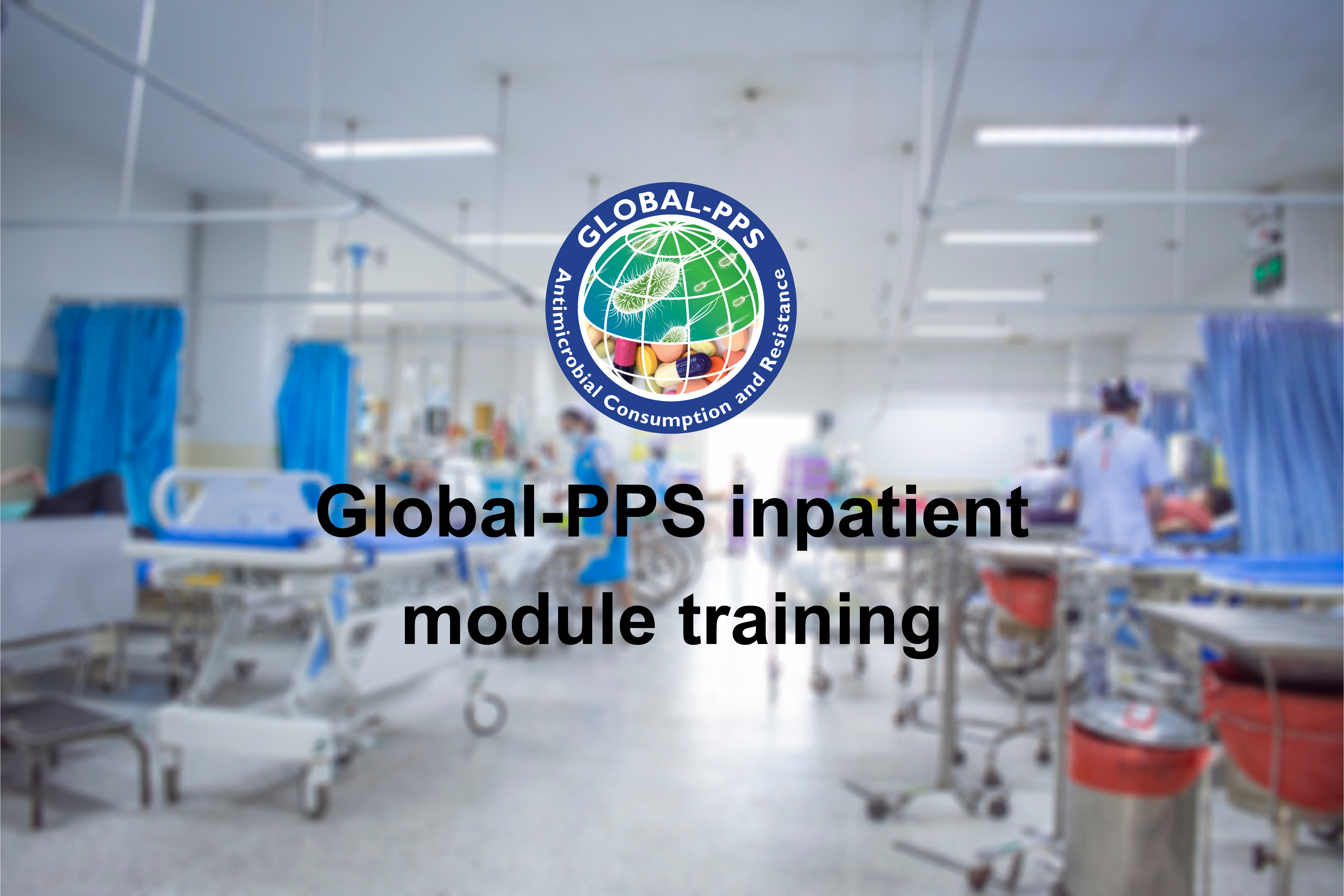 Подробнее о статье Global-PPS inpatient online training